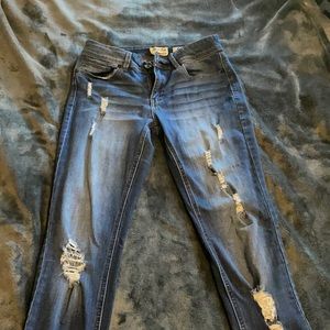 Indigo Rein Ankle Jeans